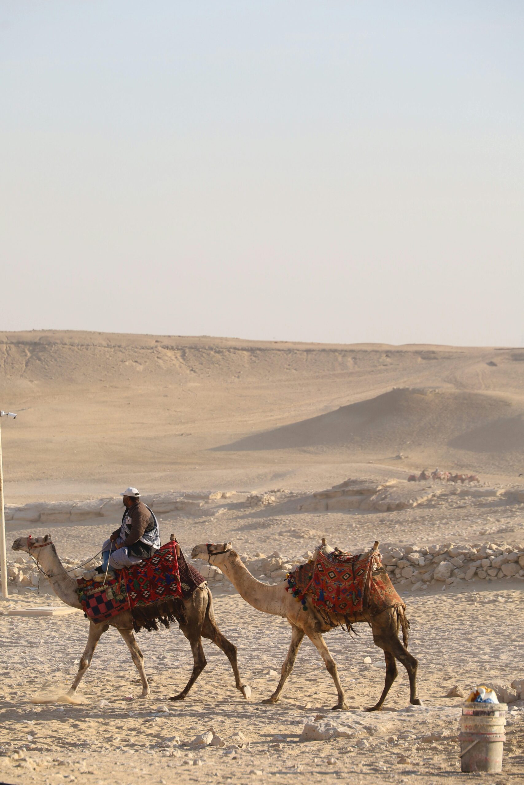 LA LINGUA ARABA TRA STORIA, BELLEZZA E IMPORTANZA. LA LINGUA ARABA TRA STORIA, BELLEZZA E IMPORTANZA.